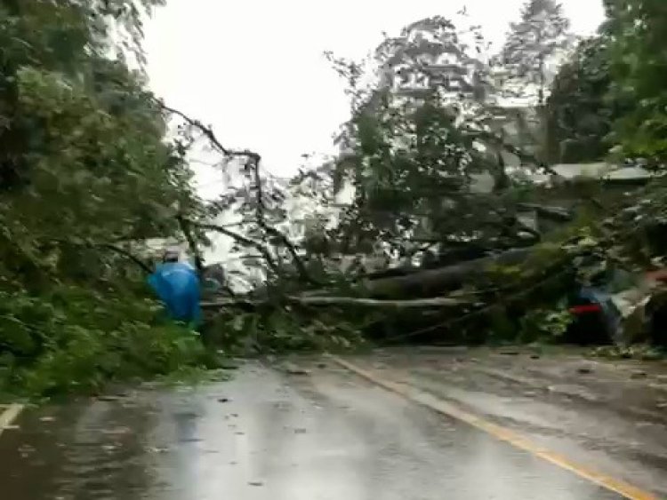 Warung Tertimbun Aktifitas Perjalanan Terganggu Akibat Tanah Longsor di Perbatasan Tabalong - Kaltim