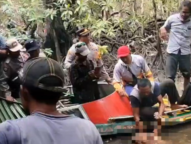 Akhir Dari Pencarian Korban Terkaman Buaya Menewaskan Anak di Kumai