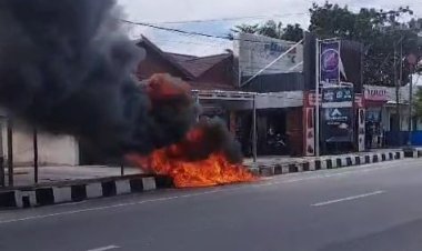 Menghebohkan! Sijago Merah Makan Siang Sepeda Motor di Kompleks Pertokoan Kodim Pangkalan Bun