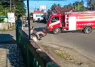 Kronologi Unit Damkar Menabrak Pengendara Sepeda Motor Yang Viral Di Media Sosial